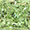 Fancy Colors - Green Diamonds